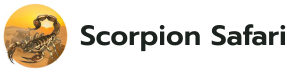 Scorpion Safari Logo